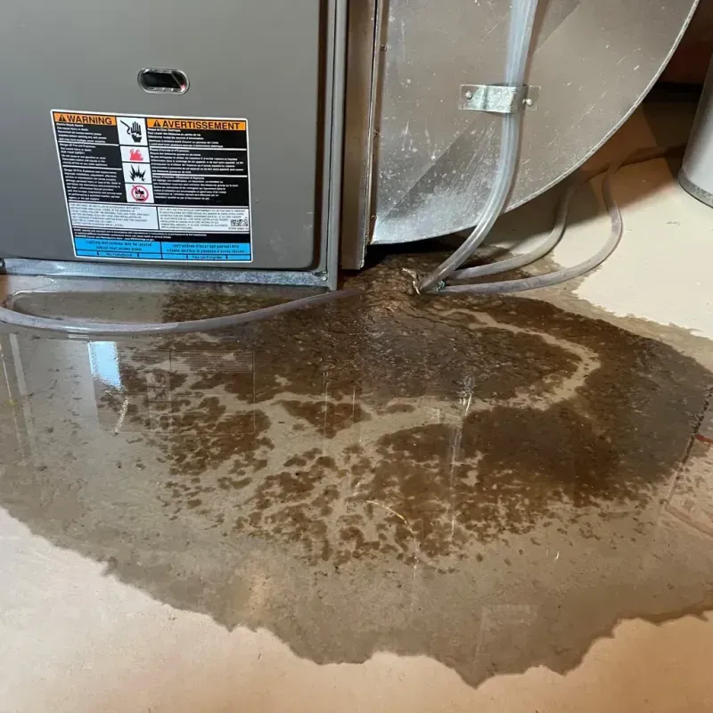 Appliance Leak Cleanup in Carthage, NC